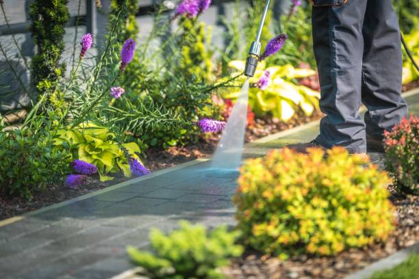 Best Parking Lot Cleaning in Star, NC