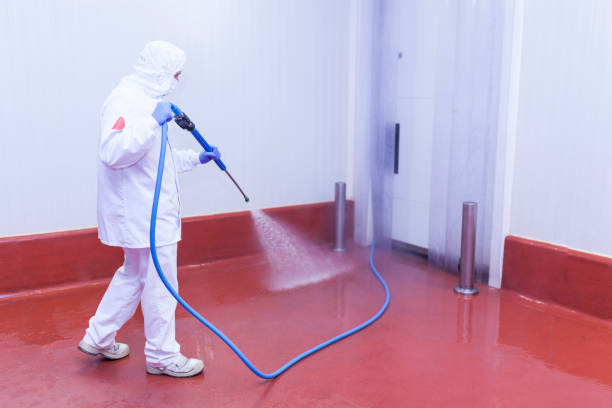 Best Graffiti Removal Services in Star, NC